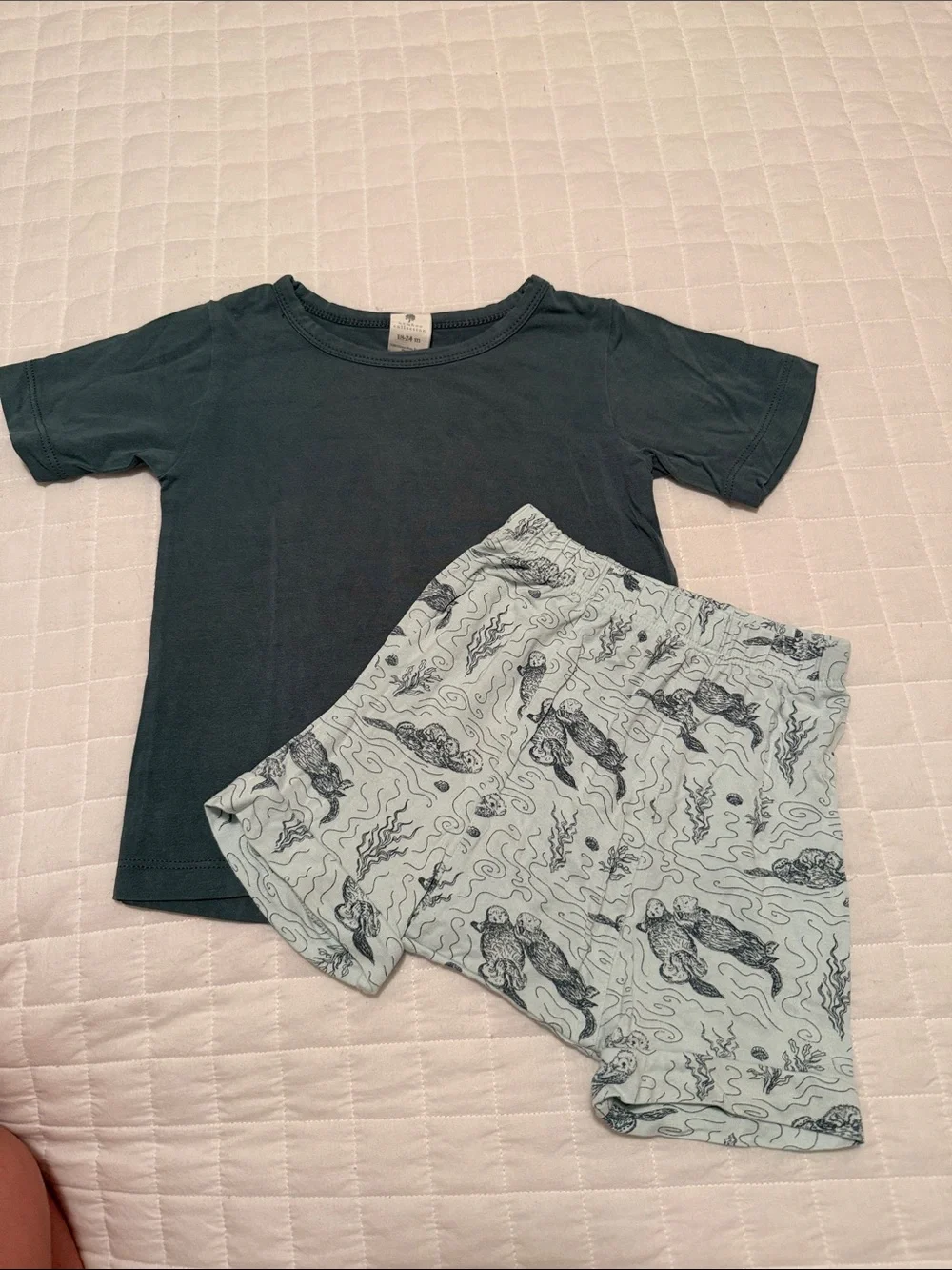 Kate Quinn Otter Print Shorts and Tee